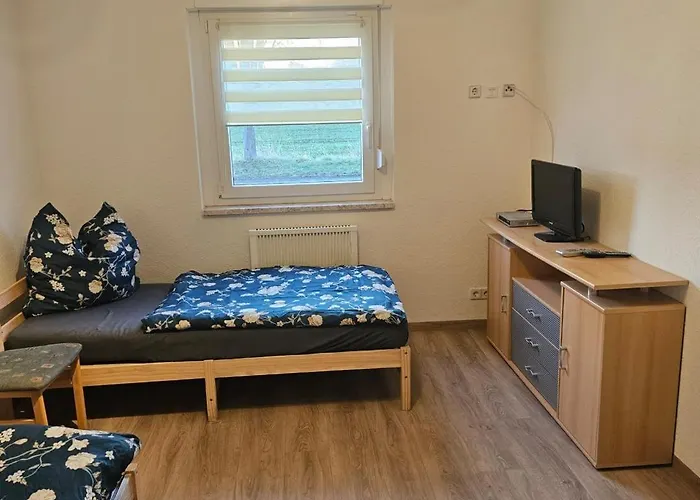 Neu! Eg Links Elsteraue